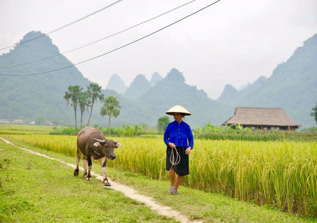 Xoi Farmstay - Eco Homestay Luc Yen Yen Bai מראה חיצוני תמונה